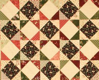 From Marti Michell Quilting Blog Week 2 Long Time Gone Sew Along