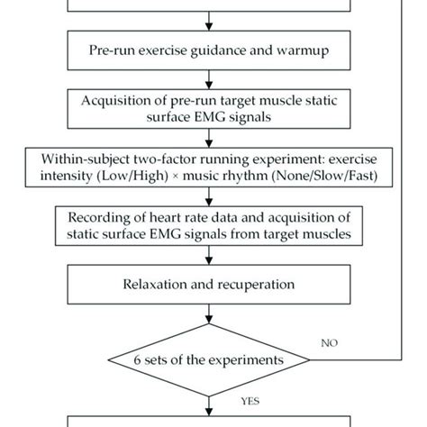 Experiment flow chart. | Download Scientific Diagram