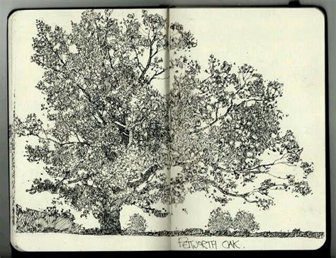 Pin By Ulthar Storm On Drawing Guide Tree Art Tree Sketches Sketch Book