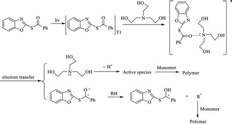 Possible mechanism of polymerization | Download Scientific Diagram