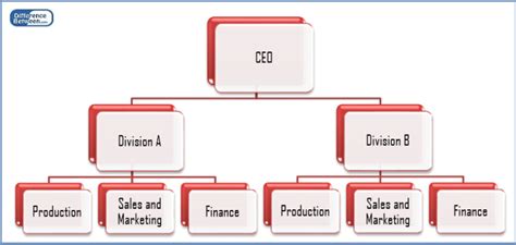 Difference Between Functional and Divisional Structure | Compare the ...