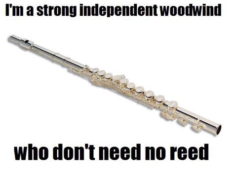 107 Flute Memes Jokes Puns That Ll Make Flutists Laugh Out Loud