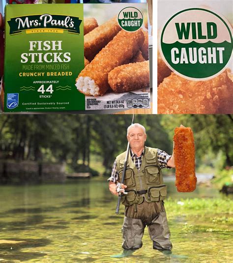 You like fish sticks? : r/memes