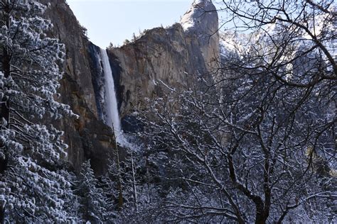 Snow In Yosemite Free Stock Photo - Public Domain Pictures