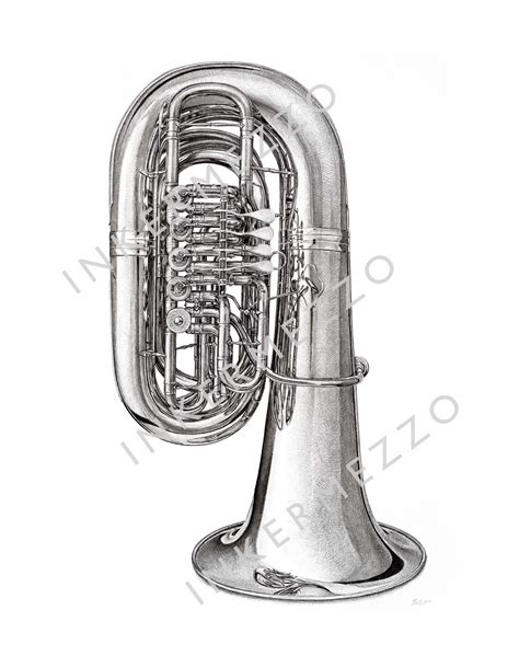 Tuba Drawing