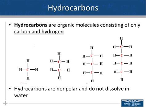 Learning Objectives Explain How The Properties Of Carbon