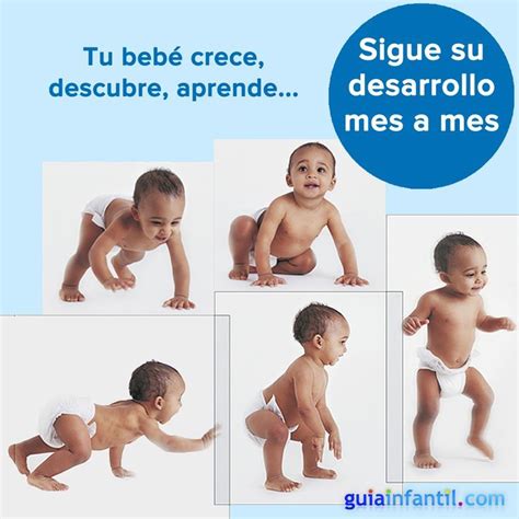 Desarrollo y crecimiento del bebé mes a mes Bebe dos meses Bebe