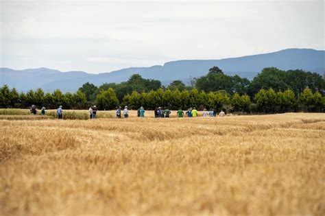 Premium Photo Farmer In A Cropping Field Farming In A Cropping Field