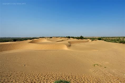 Journey Of Joy Desert National Park Rajasthan August 2013