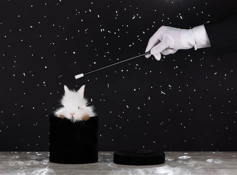 Premium Photo Hand Magician And White Rabbit On Black Background