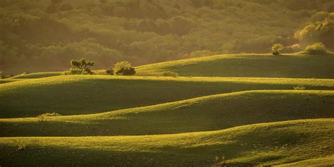 Ripples Photograph By Scott Bean Fine Art America