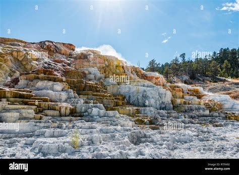Sinter Terraces Hot Springs Mineral Deposits Palette Springs Lower Terraces Mammoth Hot