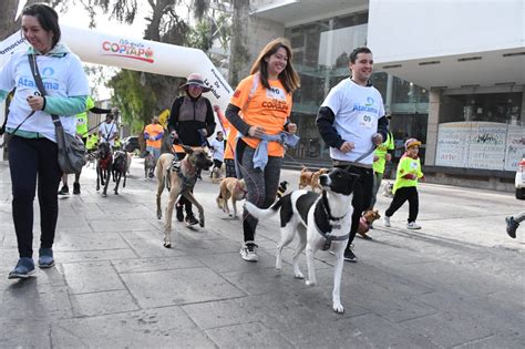 Todo Un éxito Fue La Corrida Familiar Canina En Copiapó NostÁlgica Cl