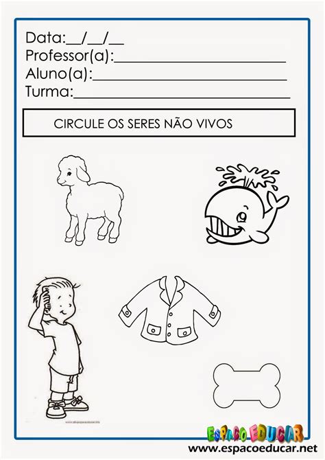 A Arte De Educar Atividades Seres Vivos D