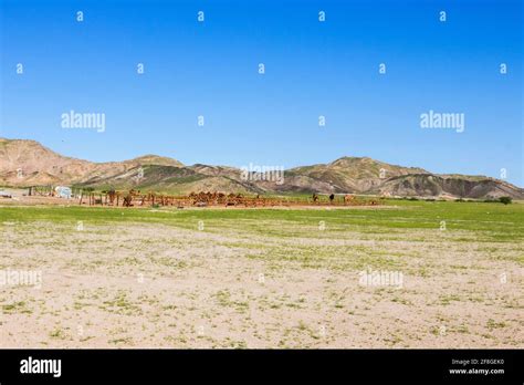 Saudi Arabia Desert Hi Res Stock Photography And Images Alamy