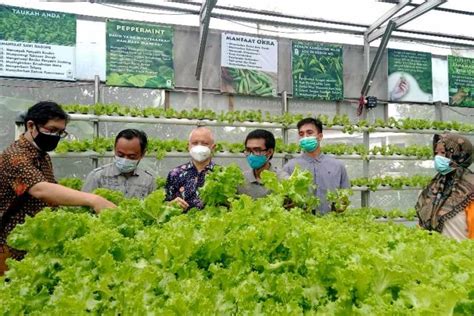 Bantu Warga Mahasiswa UK Petra Rancang Urban Farming Berbasis IoT