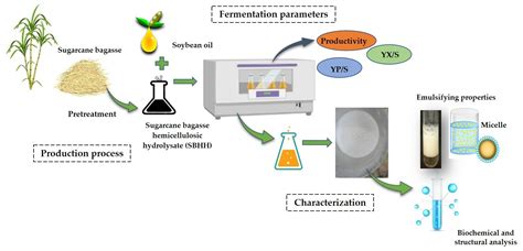 Fermentation Free Full Text Production Physicochemical And