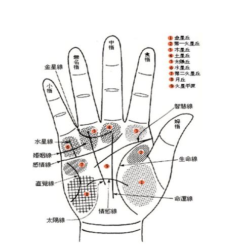 你這輩子會賺大錢嗎，從你的手相看你的一生，全網最全的手相算命 每日頭條