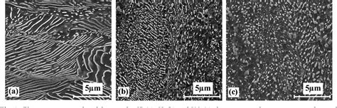 Cementite Microstructure