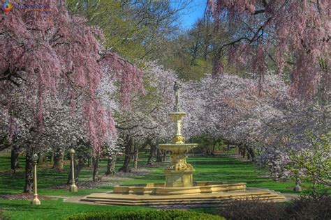 Brandywine Park Wilmington De 19802