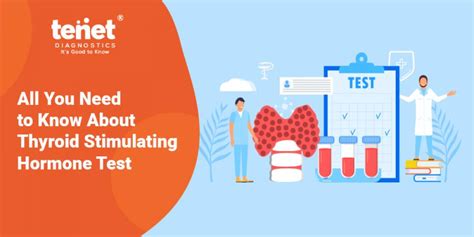 Thyroid Stimulating Hormone Tsh Test Procedure Results Levels