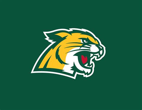 Best of NMU Athletics Work 2023 :: Behance