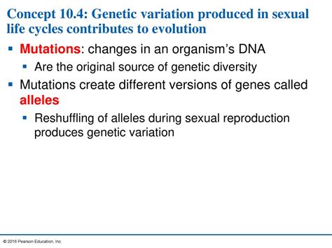 Meiosis And Sexual Life Cycles Ppt Download