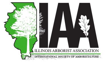 American Society Of Consulting Arborists