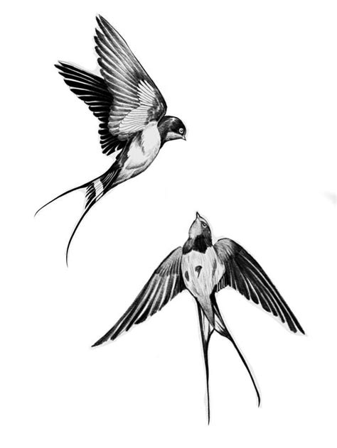 Pin By Leandro Olivera Arte On Zaaae Swallow Tattoo Design Swallow