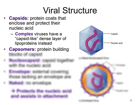 Solution Mlsc4059 Mod1 Viral Structure And Function Color Studypool