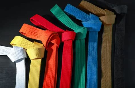 What Is The Order Of Belts In Karate? - Understanding The Meaning