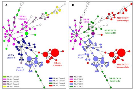 Minimum Spanning Tree Mst Representation Of The Mlva Clustering The