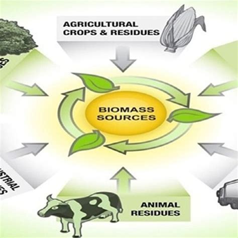 PDF Introduction To Biomass And Its Composites