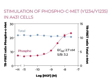 THUNDER Phospho C Met Y1234 Y1235 Total C Met TR FRET Cell