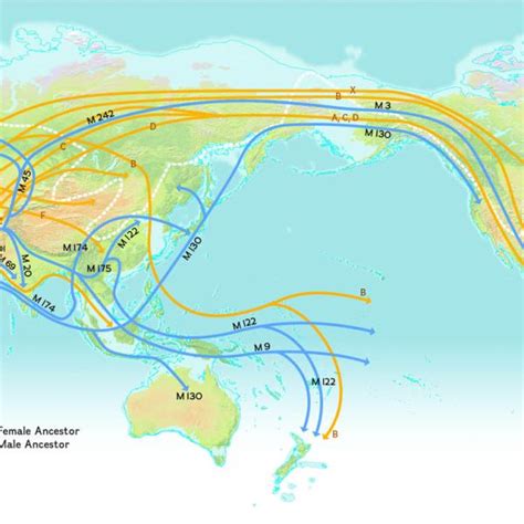 Human Migration