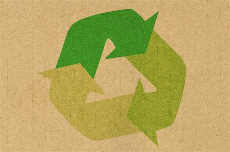 Coletalixo Qual a real importância da reciclagem