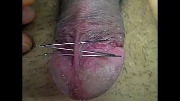 ちんぽ針責め XVIDEOS