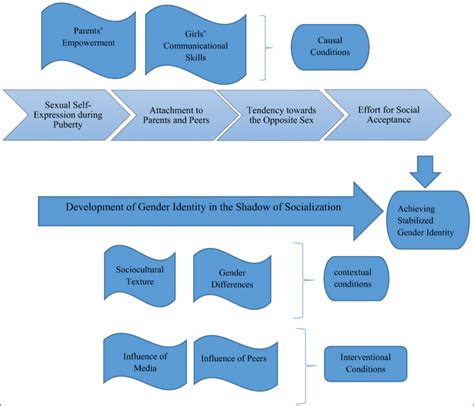 The Process Of Gender Identity Development Download Scientific Diagram