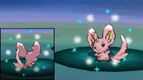 LIVE Shiny Minccino After 2338 REs Pokemon Black White YouTube