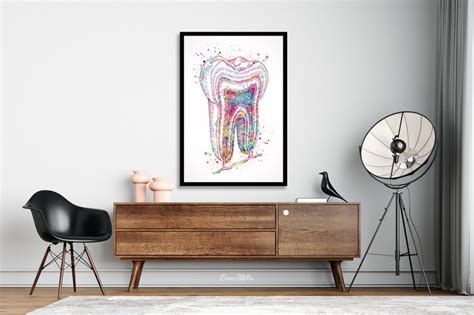 Tooth Cross Section Watercolor Print Molar Tooth Anatomical Etsy Uk