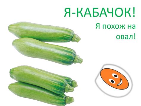 Что похоже на овал? - online presentation
