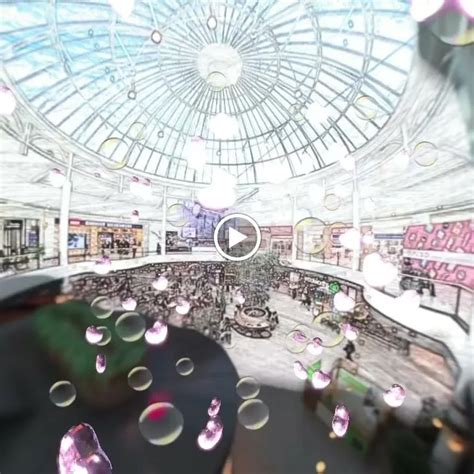 The Glen Shopping Centre Tortoisepath South Africa 🇿🇦