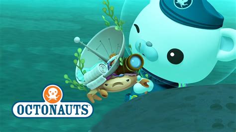 Octonauts Sea Creature Discovery New Youtube