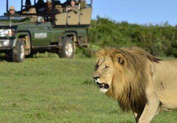 All Reserves Addo Elephant National Park