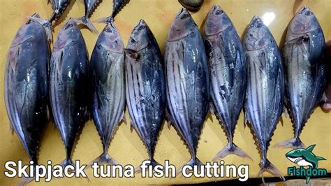 Amazing Skipjack Tuna Fish Cutting And Chopping Skills In Sri Lanka