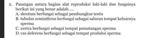 Pasangan Antara Bagian Alat Reproduksi Laki Laki Dan Fungsinya Berikut