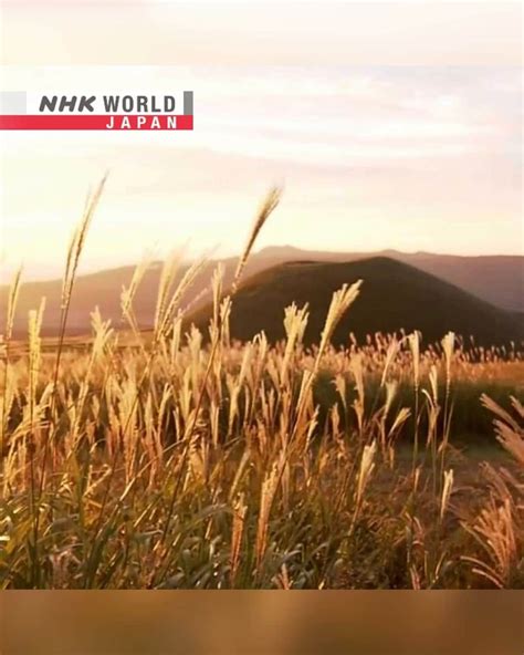 Nhk「world Japan」さんのインスタグラム動画 Nhk「world Japan」instagram「during