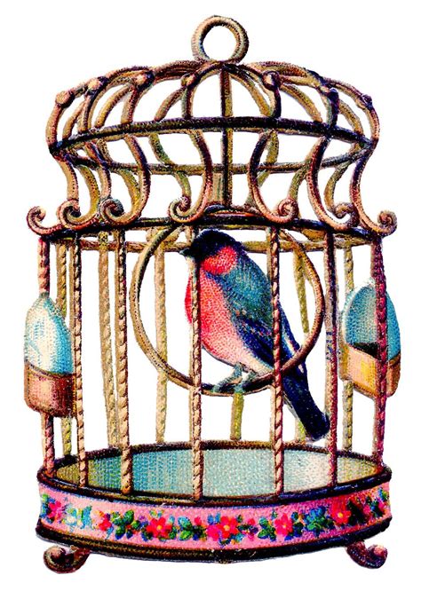 Vintage Clip Art Delightful Colorful Bird In Cage Vintage Birds