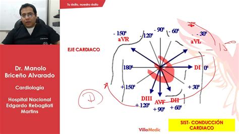 Generalidades En Cardiologia Repaso Teorico YouTube