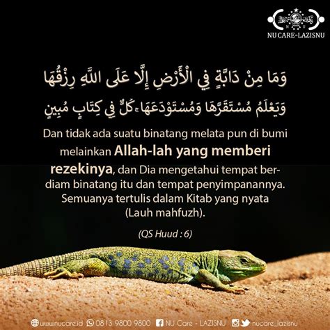 Detail Apa Itu Binatang Melata Koleksi Nomer 29